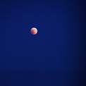 40years - A_kiss_for_40_years_of_radiating_Divine_Love_SS_076.jpg